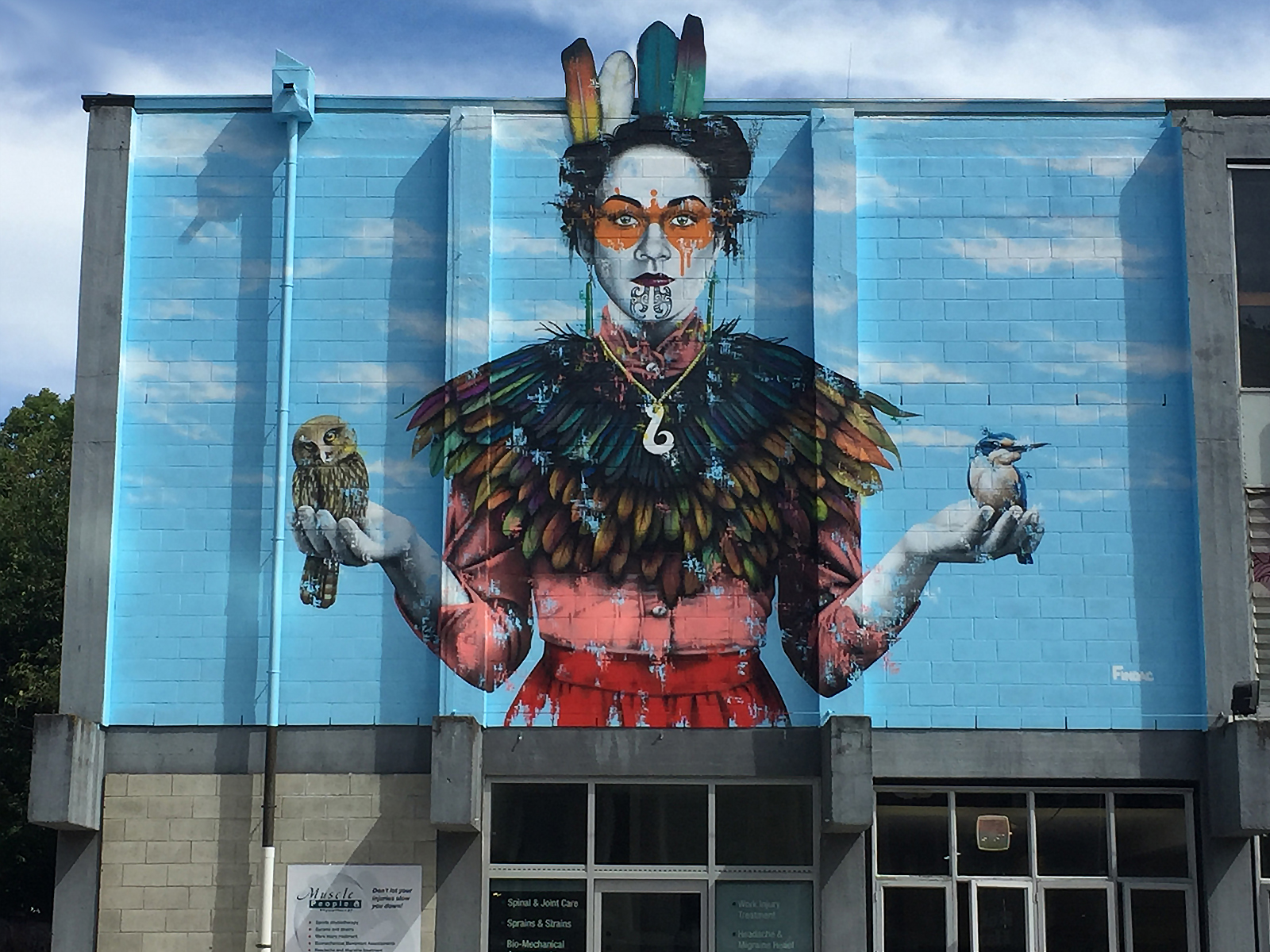 Fin DAC in Mount Maunganui & Christchurch, New Zealand ...