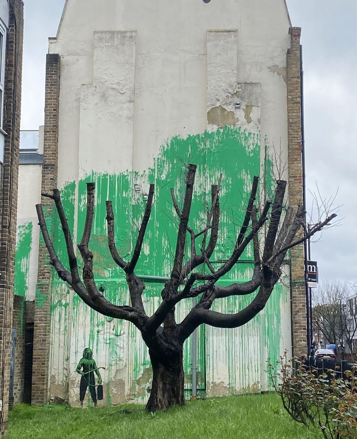 Supposed New Banksy Artwork A mass of green has been painted behind a cut-back mature tree to look like foliage, with a stencil of a person holding a pressure hose next to it.