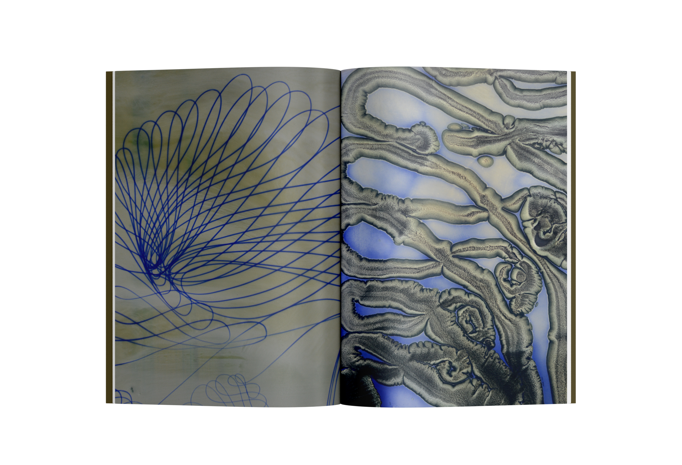 Open art-book spread with blue looping lines opposite grey organic forms.